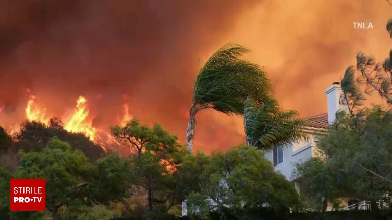 Incendiile de vegetatie devasteaza Los Angeles oamenii fugind