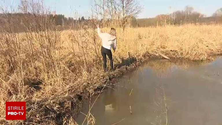 Opt castori din Cehia au construit barajul planificat de autoritati