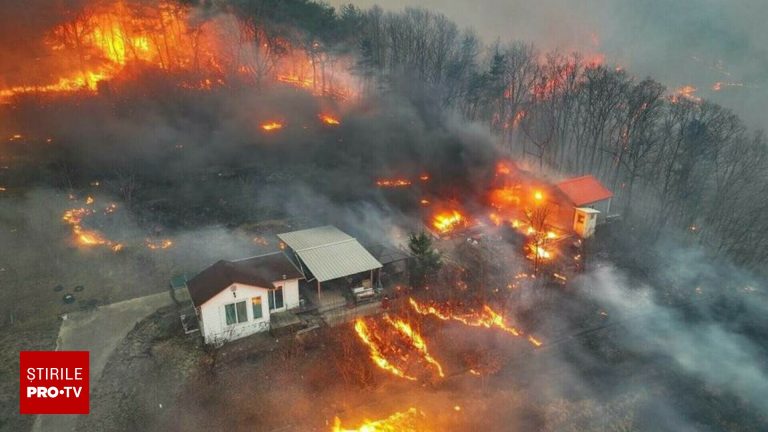 Politia suspecteaza un barbat pentru cele mai grave incendii