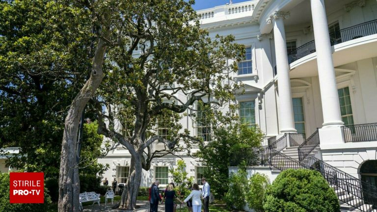 Trump nu iarta nici copacii Casei Albe Magnolia Jackson va fi taiata