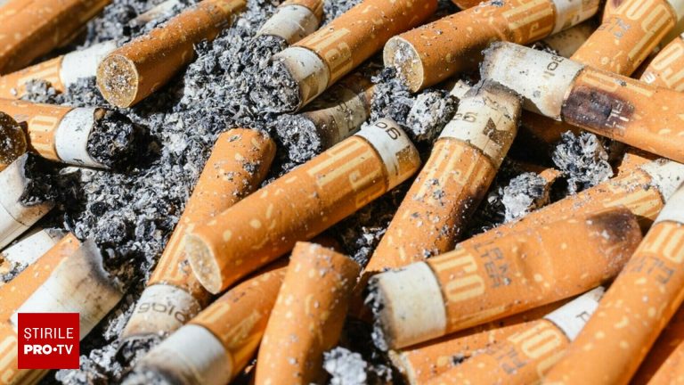Afacerea fratilor din India avere din reciclarea mucurilor de tigara