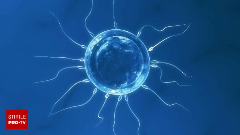 Un nou sport in SUA curse de spermatozoizi Bilete de pana la 2500