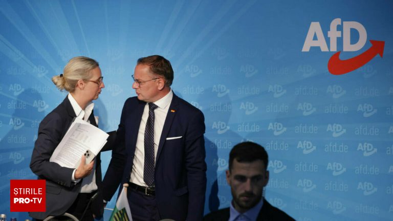 Serviciile secrete germane declara AfD entitate extremista de dreapta