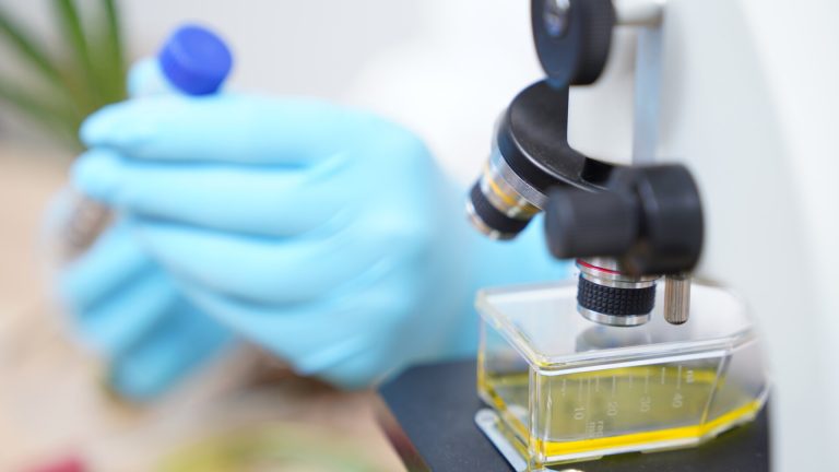 Studiu Epidemia din 2022 afecteaza populatii vulnerabile in Europa de Vest