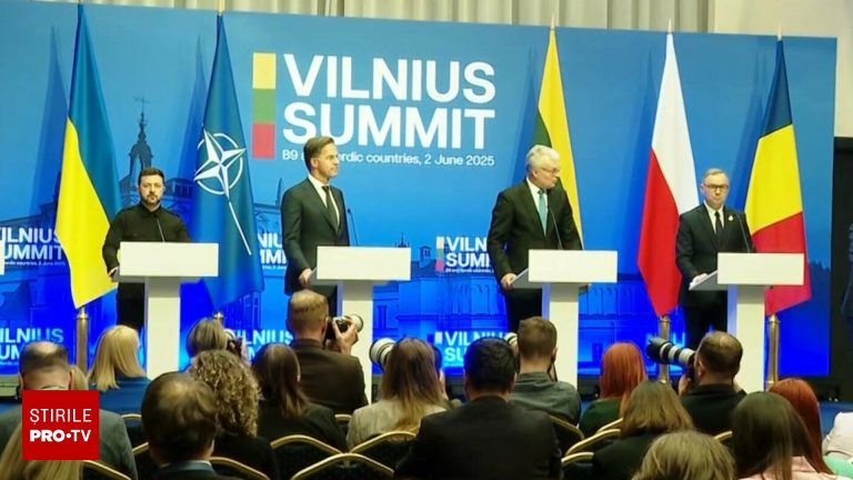 deciziile summitului b9 si tarile nordice nicusor dan actiuni hibride pentru toate tarile
