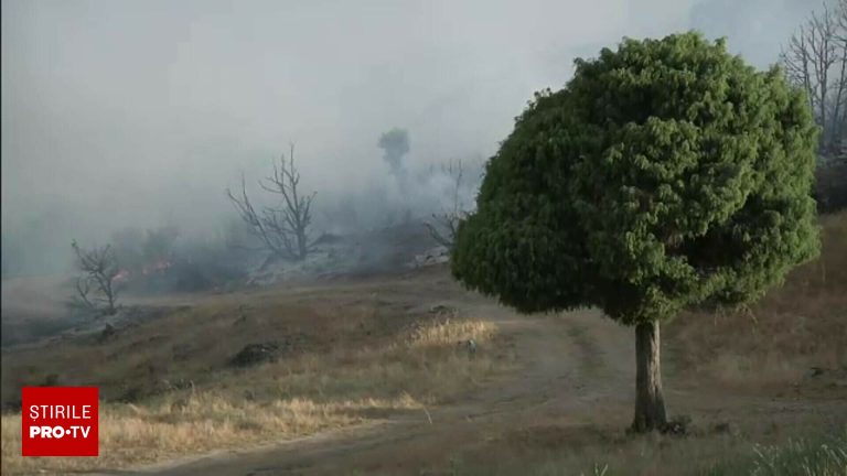 Canicula in Europa peste 48C in sudul Italiei