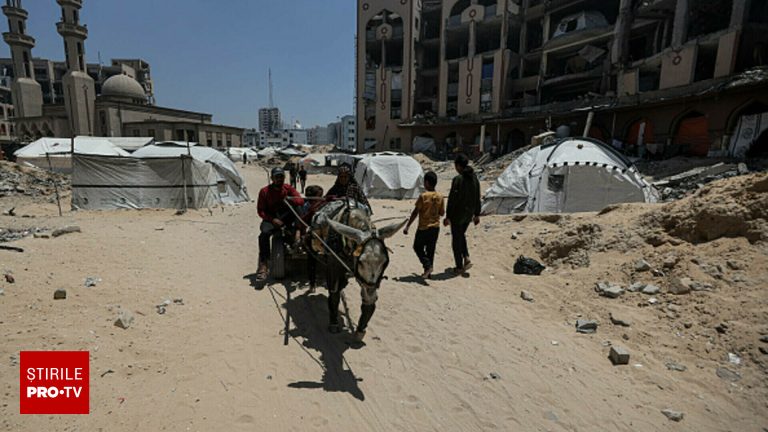 Ce rasca persoanele care colaboreaza cu Fundatia Gaza
