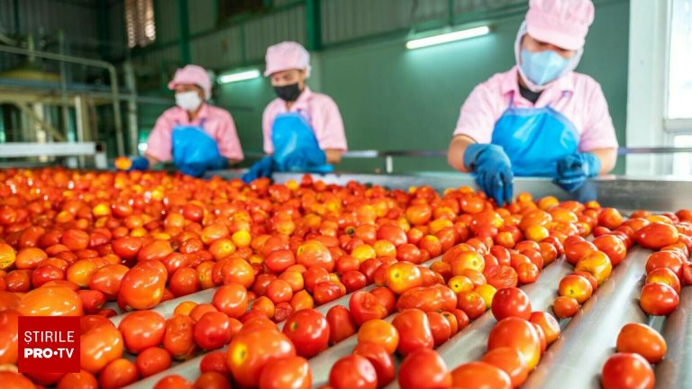 Italia va elibera 500000 de vize de munca non UE