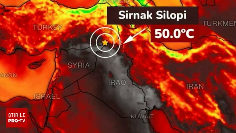 Temperatura record de 50 5C in vacante romanesti