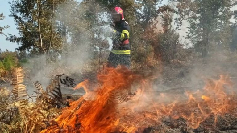 incendiu de vegetatie in sudul frantei mobilizati 1000 de pompieri
