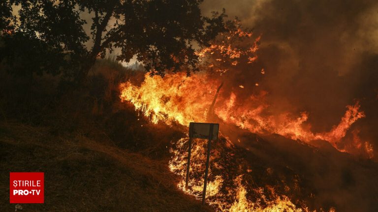 Portugalia solita ajutor European pentru incendii devastatoare