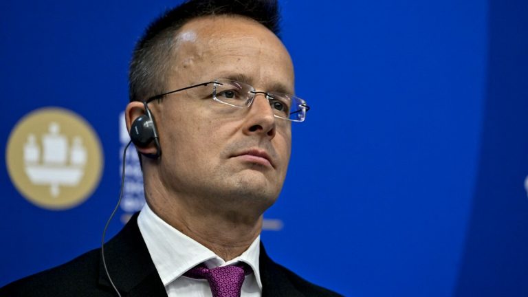 Ministrul ungar de Externe Interesele Romaniei si Ungariei se suprapun