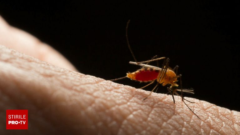 O boala mortala incurabila se raspandeste in SUA