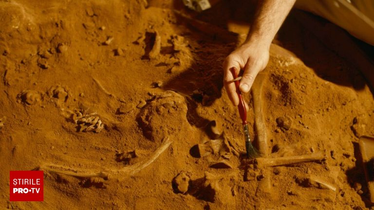 Un artefact crestin uimitor descoperit in Emirate