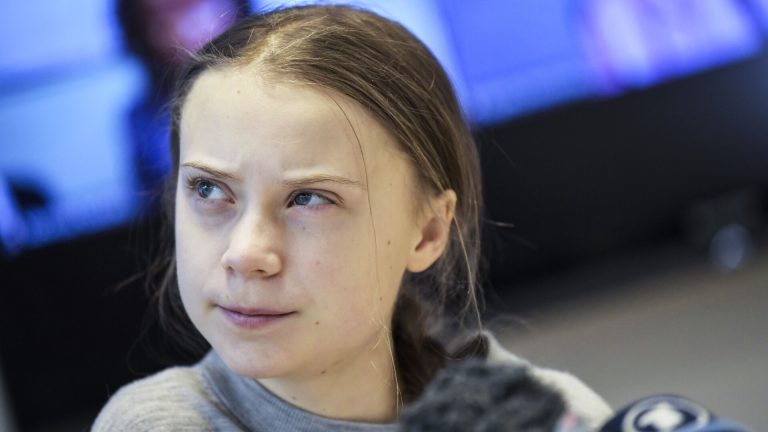Greta Thunberg a fost fortata sa tina steaguri israelieni si sa le sarute in arest sustine un activist