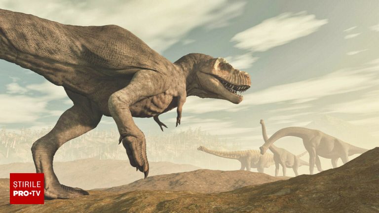 Cuib de dinozaur cu ouă de 150 milioane ani descoperit în Portugalia Cuib de dinozaur cu oua de 150 milioane ani descoperit in Portugalia