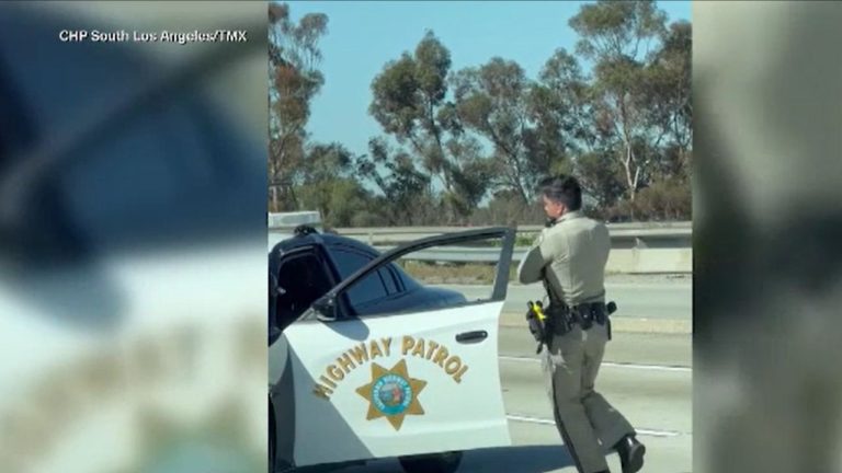 Cum a salvat un politist din Los Angeles un motanel prins pe o autostrada