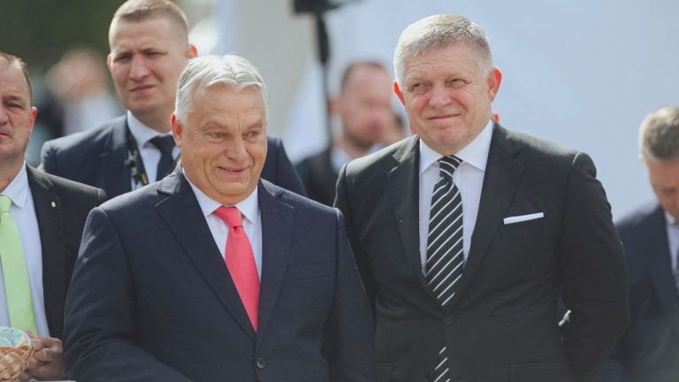 Ucraina acuza Ungaria si Slovacia de santaj dupa amenintarea cu oprirea energiei Cat de mult depinde Kievul de aceste doua state membre UE