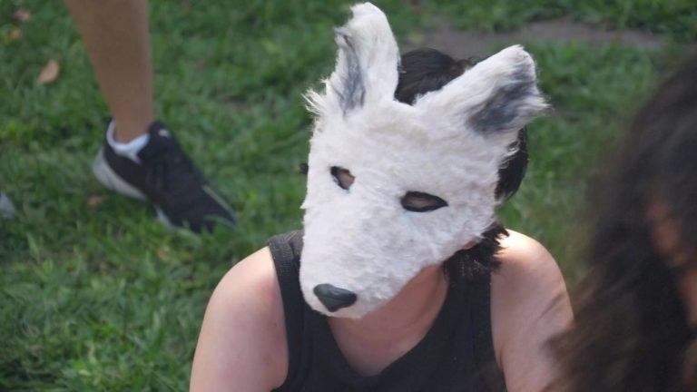 VIDEO. Fenomen viral în Argentina: „mișcarea teriană”. Tinerii susțin că s-au transformat în animale și merg în patru labe sau latră. VIDEO Fenomen viral in Argentina miscarea teriana Tinerii sustine ca s au transformat in animale si merg in patru labe sau latra