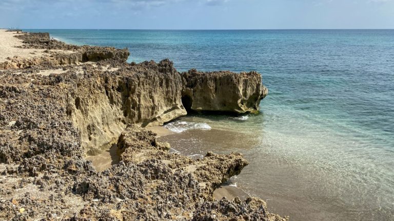 Comoara de un milion de dolari gasita in apele Floridei este atat de rara cat si extraordinara