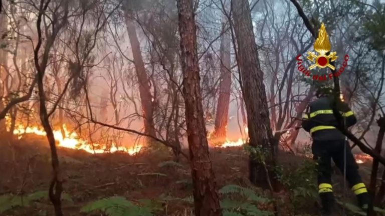 Aproximativ 3.500 de persoane au fost evacuate în Toscana, Italia, din cauza unui incendiu de pădure care a distrus peste 800 de hectare. aproximativ 3500 de persoane au fost evacuate in toscana italia din cauza unui incendiu de padure care a distrus peste 800 de hectare