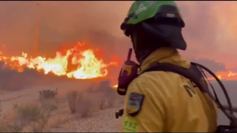 Bilanțul incendiului devastator din Spania: 12 decese și zeci de persoane dispărute după infernul din Andalusia Bilanul incendiului devastator din Spania 12 decese si zeci de persoane disparute dupa infernul din Andalusia