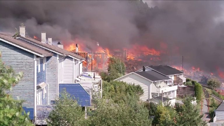 Incendiile de vegetație devastează Europa și Canada. Trump amenință cu noi impozite din cauza fumului care a ajuns în SUA. Incendiile de vegetatie devasteaza Europa si Canada Trump ameninta cu noi impozite din cauza fumului care a ajuns in SUA