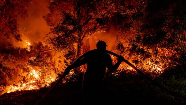 Incendiile de vegetație se răspândesc în zonele turistice din Turcia, frecventate de români. Sute de pompieri actionează. FOTO Incendiile de vegetatie se raspandesc in zonele turistice din Turcia frecventate de romani Sute de pompieri actioneaza FOTO