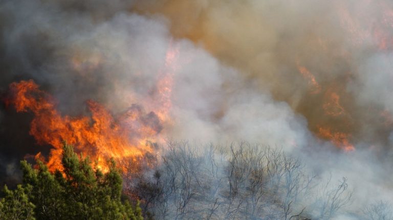MAE avertisment de calatorie pentru Statele Unite ale Americii Incendii de vegetatie pe Coasta de Vest
