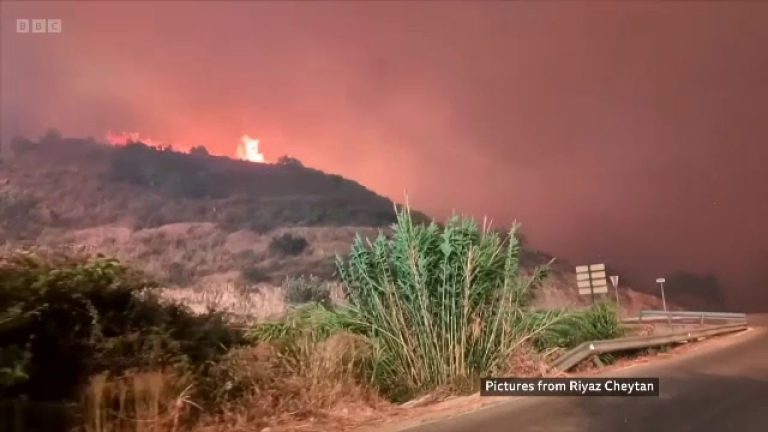 Mărturia unei supraviețuitoare a incendiului din Almería: „Am pierdut prieteni apropiați. Focul se apropia rapid de noi” Marturia unei supravietuitoare a incendiului din Almeria Am pierdut prieteni apropiati Focul se apropia rapid de noi