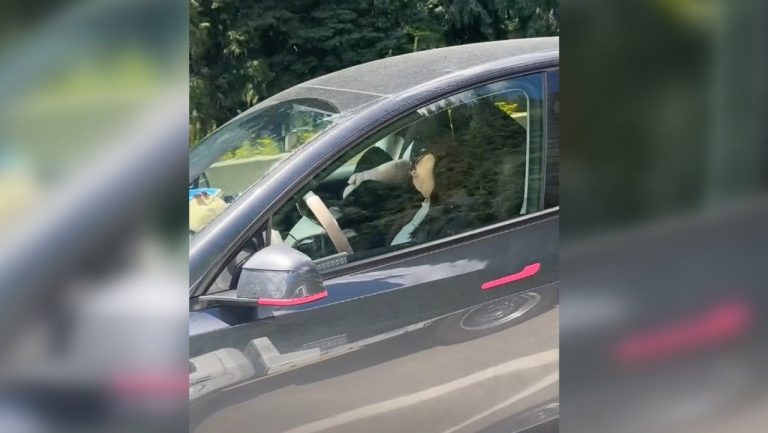 O femeie a fost surprinsa filmandu se in timp ce dormea la volanul unei Tesla pe o autostrada din Canada