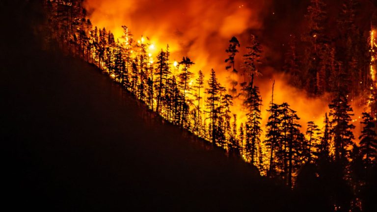 Premierul provinciei Ontario consideră „absolut inacceptabile” criticile lui Trump referitoare la incendiile din Canada. Premierul provinciei Ontario considera absolut inacceptabile criticile lui Trump referitoare la incendiile din Canada