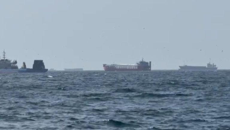 SUA a anulat licența pentru vânzarea petrolului iranian, iar prețul țițeiului a crescut cu peste 5% SUA a anulat licenta pentru vanzarea petrolului iranian iar pretul titeiului a crescut cu peste 5