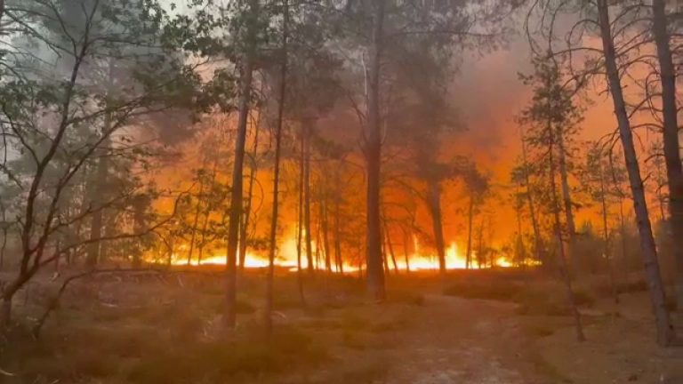 Temperaturi extreme în Europa. Un incendiu devastator a izbucnit lângă Paris, 13 persoane au murit în Almeria. Temperaturi extreme in Europa Un incendiu devastator a izbucnit langa Paris 13 persoane au murit in Almeria