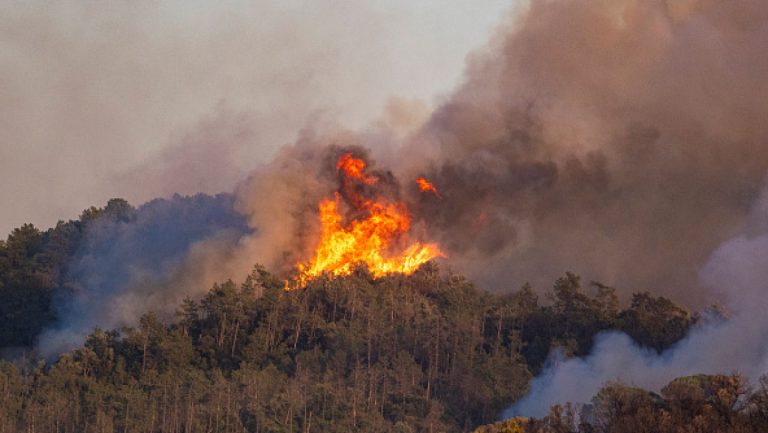 Un incendiu de padure provoaca distrugeri in Catalonia 45000 de oameni au fost sfatuiti sa ramana in locuinte GALERIE FOTO