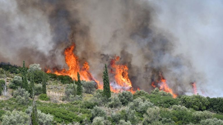 Incendiile continuă să facă ravagii în Grecia. O stațiune a fost distrusă de un imens incendiu de vegetație. Incendiile continua sa faca ravagii in Grecia O statiune a fost distrusa de un imens incendiu de vegetatie