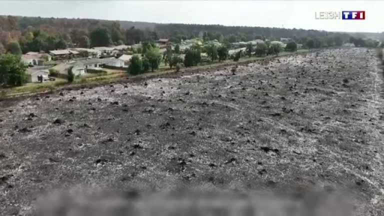 Peste 100 de explozii s-au produs în Franța. Un depozit secret de muniții, descoperit în urma unui incendiu de vegetație. Peste 100 de explozii s au produs in Franta Un depozit secret de munitii descoperit in urma unui incendiu de vegetatie