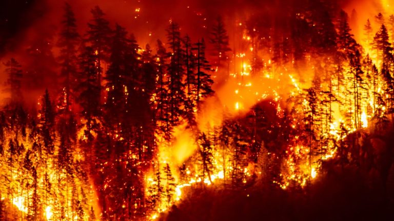 Stare de urgență în Canada. Peste 20.000 de persoane au fost evacuate din calea incendiilor. Stare de urgenta in Canada Peste 20000 de persoane au fost evacuate din calea incendiilor