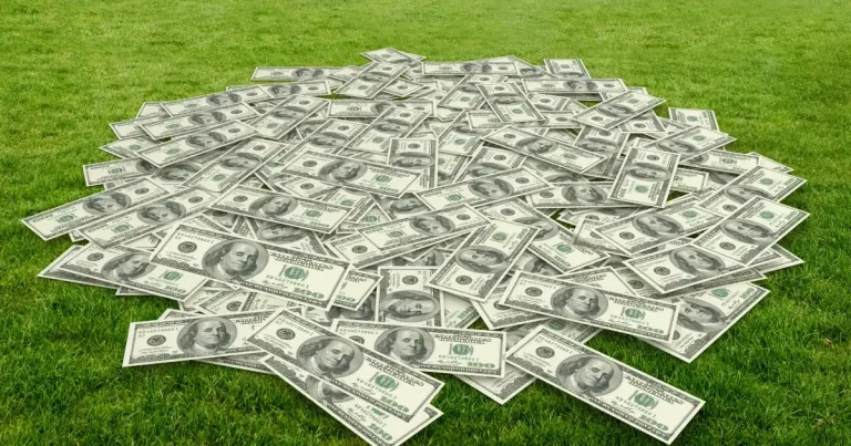 Dolarul, cea mai mare creștere față de euro din 14 luni. Impactul asupra României Dolarul, cea mai mare creștere față de euro din 14 luni. Impactul asupra României