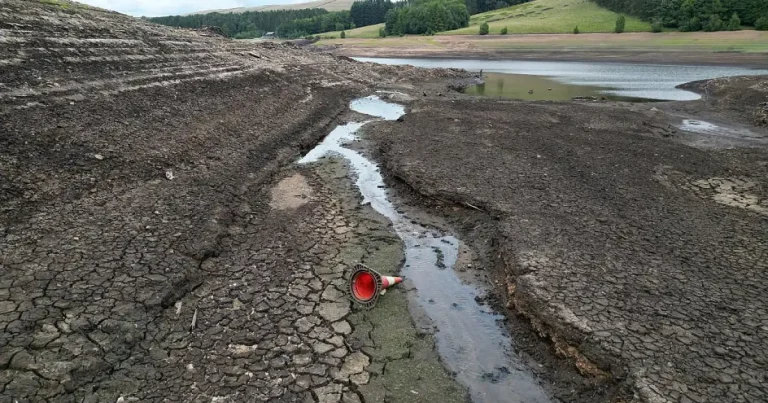 El Niño ar putea cauza 450.000 de decese în șase luni. Țările cele mai afectate El Niño ar putea cauza 450.000 de decese în șase luni. Țările cele mai afectate