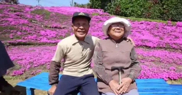 Japonez plantează mii de flori pentru soția nevăzătoare. Grădina care atrage turiști