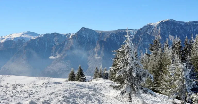 Primele ninsori în România: val de aer polar, temperaturi în scădere cu până la 12 grade Primele ninsori în România: val de aer polar, temperaturi în scădere cu până la 12 grade