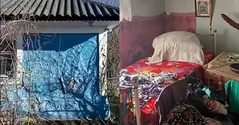A cumpărat o casă la prețul unui iPhone. Bonus: un râu care curge prin grădină A cumpărat o casă la prețul unui iPhone. Bonus: un râu care curge prin grădină
