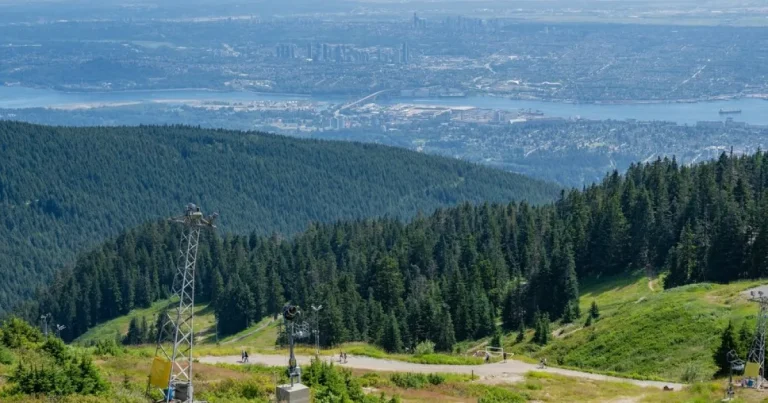 Adolescent rătăcit pe munte în Canada după ce a folosit IA pentru drumeție Adolescent rătăcit pe munte în Canada după ce a folosit IA pentru drumeție