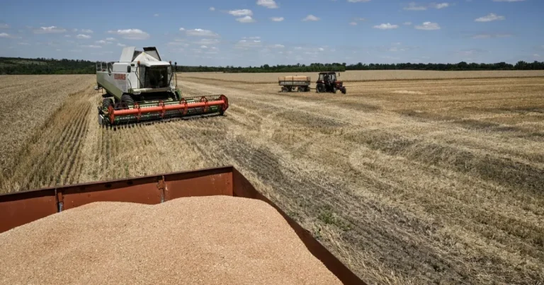 Blocada cerealelor ucrainene afectează securitatea alimentară globală Blocada cerealelor ucrainene afectează securitatea alimentară globală