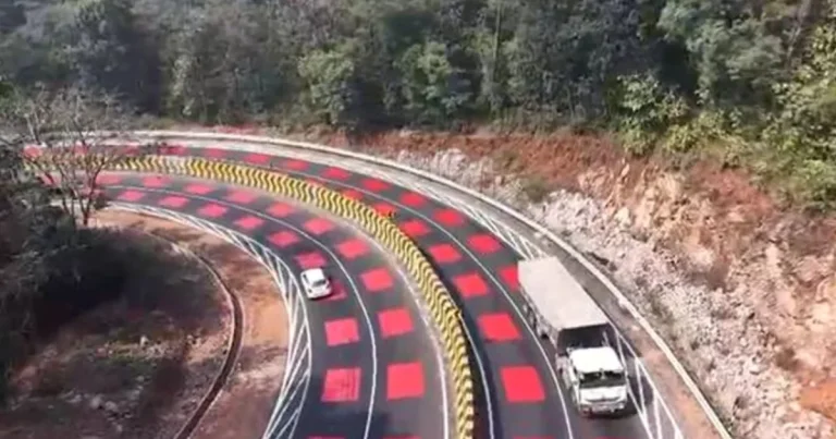 Carourile roșii de pe autostrada din India. Rolul marcajelor colorate pentru șoferi Carourile roșii de pe autostrada din India. Rolul marcajelor colorate pentru șoferi