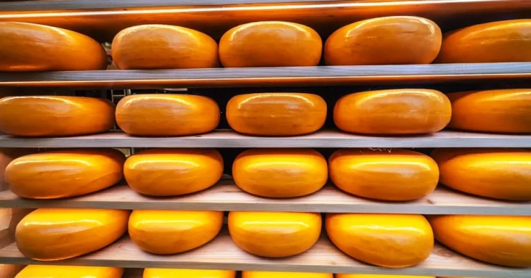 Cocaină de milioane ascunsă în brânză Gouda, rețea destructurată în Marea Britanie Cocaină de milioane ascunsă în brânză Gouda, rețea destructurată în Marea Britanie