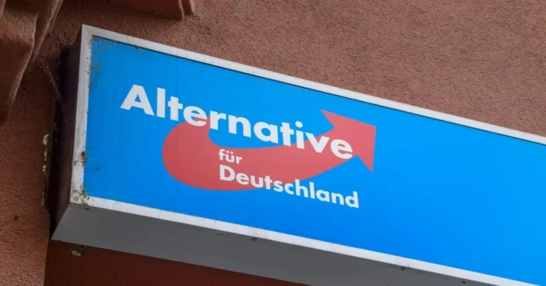 E-mailuri piratate dezvăluie detalii despre liderul AfD din Germania E-mailuri piratate dezvăluie detalii despre liderul AfD din Germania