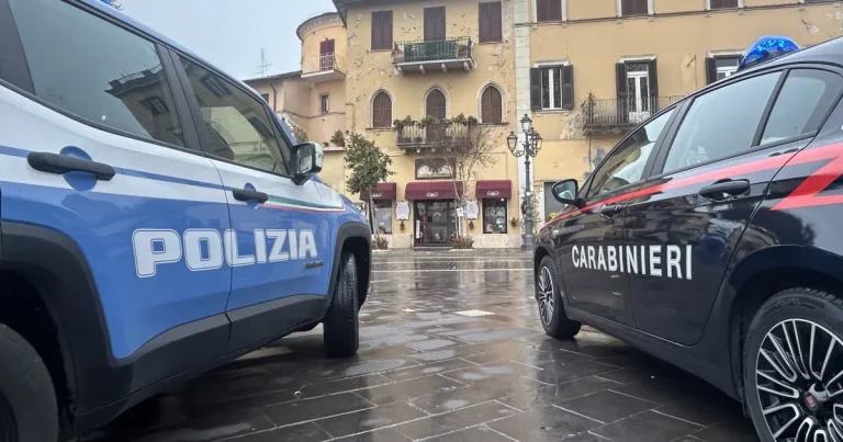 Femeie din Italia, închisă după ce a reclamat furtul pisicilor. Ce au găsit polițiștii