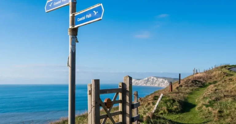 Femeie din Marea Britanie, trasă în larg de valuri în timp ce își plimba câinele Femeie din Marea Britanie, trasă în larg de valuri în timp ce își plimba câinele